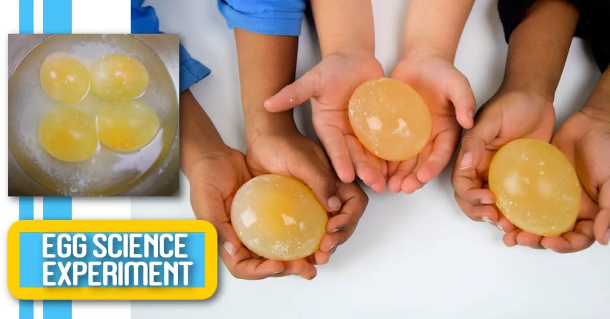 Gross! Egg in Vinegar Science Experiment for Kids